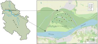 The Impact of Multiple Species Invasion on Soil and Plant Communities Increases With Invasive Species Co-occurrence